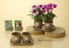 【エコガーデニングセット#55】販促品　まとめ買い　DIY・工具・植物