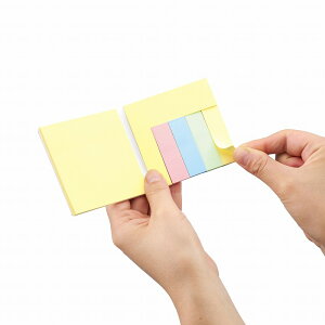 _X Ɩp ̌@[EfXN/yJX^fUCt ubN^z h wZEZEwEwZ̑ƋLOiNLOi h/h wEwEZEw