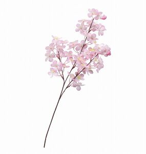 _X Ɩp ̌@t̓Xܑi/y[Xܑi] u`@3{z h qEcEwNEwɊył炤CxgWq h/hEoECxgEI