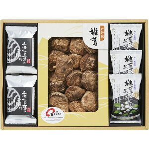 _LOi Mtg@Hi/y{̔EafރX[vlz h GNZXgŌʔz BƁA@l̂EΕɁh/h ۑgEJg̑g̕ւ̕LO