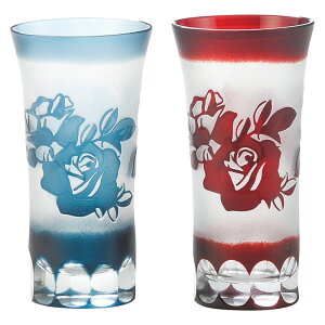 _ ̑i mxeB ObY@Gt}OEOXEJbv / y؎q yAr[z h ƂwZAX̎NEݗEnEJXɂ߂̃mxeBELOi h