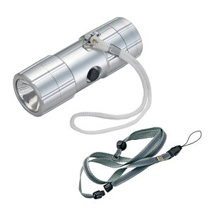 _[ h h ObY@CgEWI/yhƃuU[thHCgz h VjAwɂ߂̃ObY W߂܂Bh/h ́EEč̌[ObYzzi h