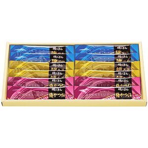 _LOi Mtg@Hi/yXeBbNώσZbgz h ƑEt@~[wɐlC̏iW߂܂B h/h ۑgEJg̑g̕ւ̕LOi h