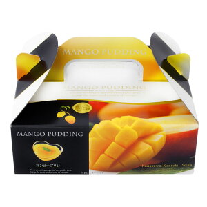 \記念品 ギフト 菓子類/【マンゴープリンBOX】 ” 家族・ファミリー層に人気の商品を集めました。 ”/” エクセルリストで個別配送 。企業、法人向けのお中元・お歳暮に”
