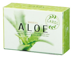 _LOi Mtg@oXObYE܁EΌ/yLAG\[vz hEoECxgEĨc[LbgȂǂ h/h L`EWqEFmxAbv̒P