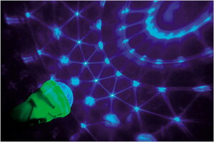 _Cxg  Õ I@Ep[eBObY/yvYYCgz h L`EWqEFmxAbv̒PEeiE΂܂zziȂǏW߂܂Bh/h q