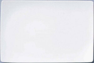 \名入れ ロゴ入れ オリジナル 名入れ向け 陶器/【美濃焼 31cm長角皿_角和皿 白 (個箱・名入れ代は、別途見積)】 名入れ陶器/記念品