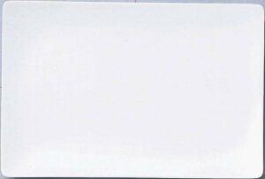 _X Ɩp ̌@ /yZ 25cmpM_paM  (ÉAʓr)z h XܗpEƖp̔iELOiE̔pObYȂǂɁh/h ƂwZAX