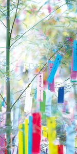 _ X Ɩp ̌@Ă̓Xܑi / y[Xܑi] ^yXg[(h)z h X܂{݂ł̊ȈՃCxgɖ𗧂AEՂZbgȂǂ h