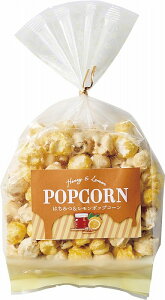 yFudge@Concierge@&݂͂|bvR[zmxeB ObY@@َq