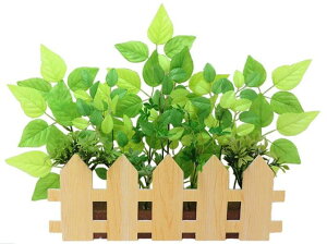 _X Ɩp ̌@ʔN̓Xܑi/y[Xܑi]@t_AWz h qEcEwNEwɊył炤CxgWq h/h XܗpEƖp̔iELOiE