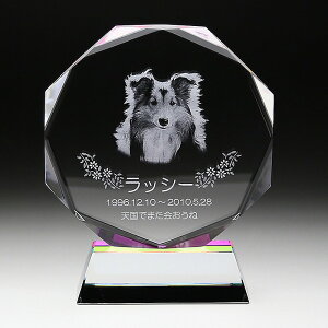 _̑mxeBELOiECxg!@ybg֘A/y[2D[U[H㍞] ʔv KP-5 őʓrz hƑEt@~[wɐlC̏iW߂܂B h