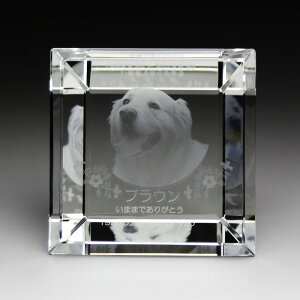 _̑mxeBELOiECxg!@ybg֘A/y[2D[U[H㍞] ʔv KP-16() [UVJ[ɕύX\] őʓrz hƑEt@~[wɐlC̏iW߂܂B h