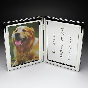 _̑mxeBELOiECxg!@ybg֘A/y[2D[U[H㍞] tHgt[ FP-1 őʓrz hƑEt@~[wɐlC̏iW߂܂B h