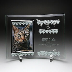 _̑mxeBELOiECxg!@ybg֘A/y[2D[U[H㍞] tHgt[ FP-3 őʓrz hƑEt@~[wɐlC̏iW߂܂B h