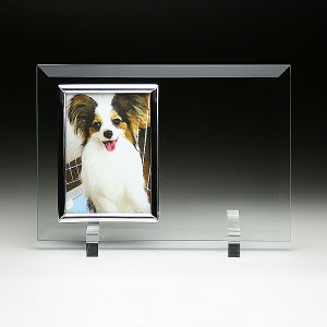 _̑mxeBELOiECxg!@ybg֘A/y[2D[U[H㍞] tHgt[ FP-5 őʓrz hƑEt@~[wɐlC̏iW߂܂B h