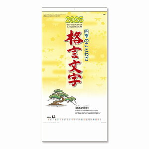 _ S IWi@J_[EAi/ylĜƂ킴 i Ǌ|J_[ 2026 [㍞]z h AE̕iɂ߂̏iW߂܂Bh/h L`E