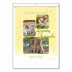 _ S IWi@J_[EAi/yB3u[tY(EL) Ǌ|J_[ 2026 [㍞]z h AE̕iɂ߂̏iW߂܂Bh/h @lE