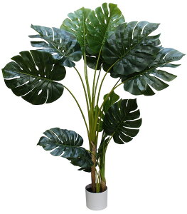 _ X Ɩp ̌@ʔN̓Xܑi / y[Xܑi] 150cm Xec[z h ƂwZAX̎NEݗEnEJXɂ߂̃mxeBELOi h