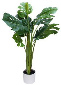 _X Ɩp ̌@ʔN̓Xܑi/y[Xܑi] 100cm XsbgtBz h qEcEwNEwɊył炤CxgWq h/hEoECxgEI