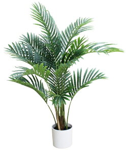 _X Ɩp ̌@ʔN̓Xܑi/y[Xܑi] 85cmp[c[z h qEcEwNEwɊył炤CxgWq h/h ƂwZAX̎NEݗEn