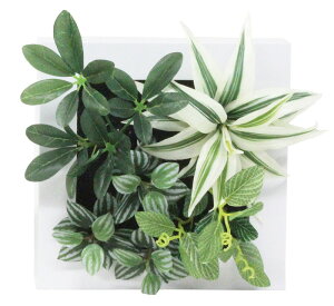 _X Ɩp ̌@ʔN̓Xܑi/y[Xܑi] t[O[Bz hEoECxgEĨc[LbgȂǂ h/h qEcEwNEwɊy