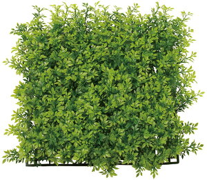 _X Ɩp ̌@ʔN̓Xܑi/y[Xܑi] XNGAO[}bgeB[[tz h ƂwZAX̎NEݗEnEJXɂ߂̃mxeBELOi h/h