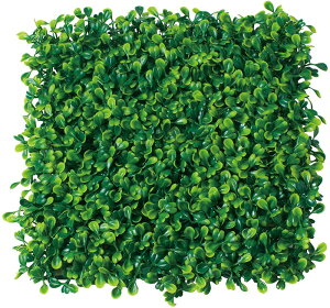 _X Ɩp ̌@ʔN̓Xܑi/y[Xܑi] XNGAO[}bg{bNXEbhz h qEcEwNEwɊył炤CxgWq h/h ƂwZA