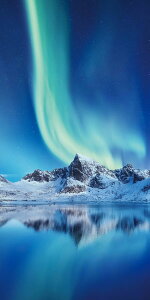 _X Ɩp ̌@~E̓Xܑi/y[Xܑi] ^yXg[(h)I[z h ƑEt@~[wɐlC̏iW߂܂B h/h qEcEwNEwɊy