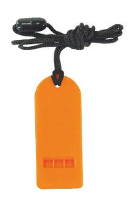 _ [ h h ObY@hƁEʈS / yG}[WFV[zCbXz h XܗpEƖp̔iELOiE̔pObYȂǂɁh