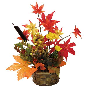 _X Ɩp ̌@H̓Xܑi/y[Xܑi] gtJSAWIWz h qEcEwNEwɊył炤CxgWq h/h ƂwZAX̎NE