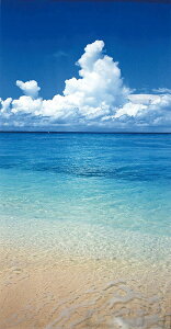 _ X Ɩp ̌@Ă̓Xܑi / y[Xܑi] ^yXg[C_z h X܂{݂ł̊ȈՃCxgɖ𗧂AEՂZbgȂǂ h