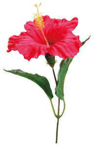 _X Ɩp ̌@Ă̓Xܑi/y[Xܑi] nCrXJXsbNz h XܗpEƖp̔iELOiE̔pObYȂǂɁh/h qEcEwNEwɊył炤