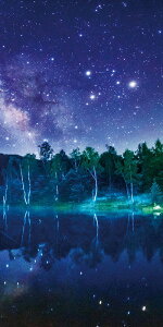 _X Ɩp ̌@Ă̓Xܑi/y[Xܑi] ^yXg[(h)Ă̑Opz h qEcEwNEwɊył炤CxgWq h/h ƂwZAX̎NE