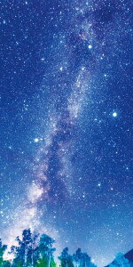 _ X Ɩp ̌@Ă̓Xܑi / y[Xܑi] ^yXg[(h)V̐z h X܂{݂ł̊ȈՃCxgɖ𗧂AEՂZbgȂǂ h