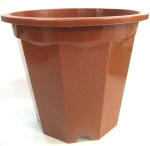 _@DIYEHEA/y\p8@F@z hƑEt@~[wɐlC̏iW߂܂B h/h ƂwZAX̎NEݗEnEJXɂ߂̃mxeBELOi h