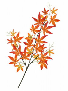 _ X Ɩp ̌@H̓Xܑi / y[Xܑi] H݂XvCz h ƂwZAX̎NEݗEnEJXɂ߂̃mxeBELOi h