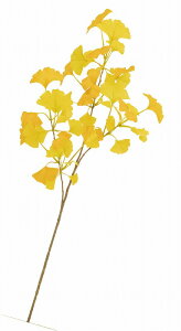 _X Ɩp ̌@H̓Xܑi/y[Xܑi] C`EXvCz h XܗpEƖp̔iELOiE̔pObYȂǂɁh/h qEcEwNEwɊył炤C