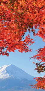 _ X Ɩp ̌@H̓Xܑi / y[Xܑi] ^yXg[(h)xmgtz h ƂwZAX̎NEݗEnEJXɂ߂̃mxeBELOi h