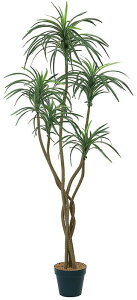 _X Ɩp ̌@ʔN̓Xܑi/y[Xܑi] bJc[150cmz h XܗpEƖp̔iELOiE̔pObYȂǂɁh/h qEcEwNEwɊył炤