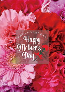 _X Ɩp ̌@t̓Xܑi/y[Xܑi] A1|X^[J[l[Vbhz h qEcEwNEwɊył炤CxgWq h/h XܗpEƖp̔iE