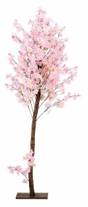 _X Ɩp ̌@t̓Xܑi/y[Xܑi] VR؍X^hz h ƑEt@~[wɐlC̏iW߂܂B h/h qEcEwNEwɊył炤Cx