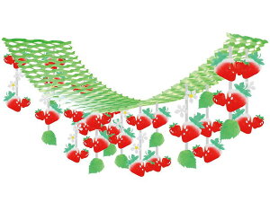 _X Ɩp ̌@t̓Xܑi/y[Xܑi] v[cnK[z h XܗpEƖp̔iELOiE̔pObYȂǂɁh/h ƂwZAX̎NEݗEnEJ