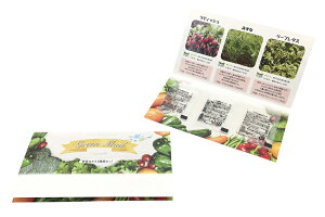 _@DIYEHEA/yO[[q3Zbg()z h ƂwZAX̎NEݗEnEJXɂ߂̃mxeBELOi h/hƑEt@~[wɐlC̏iW