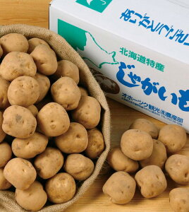 _LOi Mtg@Hi/ykCYj݂ႪlߕLbg20kg(20lp)z h ƑEt@~[wɐlC̏iW߂܂B h/h ۑgEJg̑g̕ւ̕