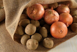 _LOi Mtg@Hi/ykCYႪ(j)&ʂ˂Zbgz h ƑEt@~[wɐlC̏iW߂܂B h/h ۑgEJg̑g̕ւ̕LOi h