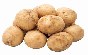 _LOi Mtg@Hi/ykCYႪ(j)1.3kgz h ۑgEJg̑g̕ւ̕LOi h/h GNZXgŌʔz BƁA@l̂EΕ