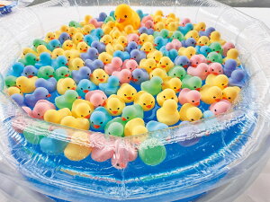 _Cxg  Õ I@lpIZbg/yJtAqǂ100l(Xgt)z h qEcEwNEwɊył炤CxgWq h/h Ƒ