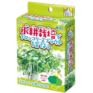 _ @[JeS ] / yĂ̂Ђ.ubR[XvEgĂ悤z h ƂwZAX̎NEݗEnEJXɂ߂̃mxeBELOi h/hƑEt@~[w