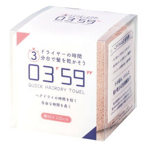 �_ �@���Y�E�u�����h�M�t�g / �y 0359 QUICK HAIRDRY TOWEL �s���N�z